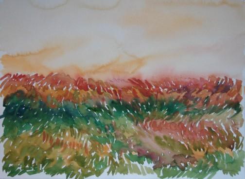 LANDSCAPE II - Flora Raducan
