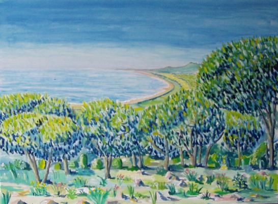 plage - Alain