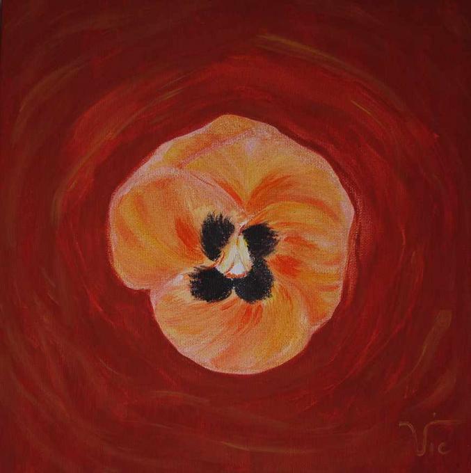 pansy - Vic - Cliquer pour afficher en grand
