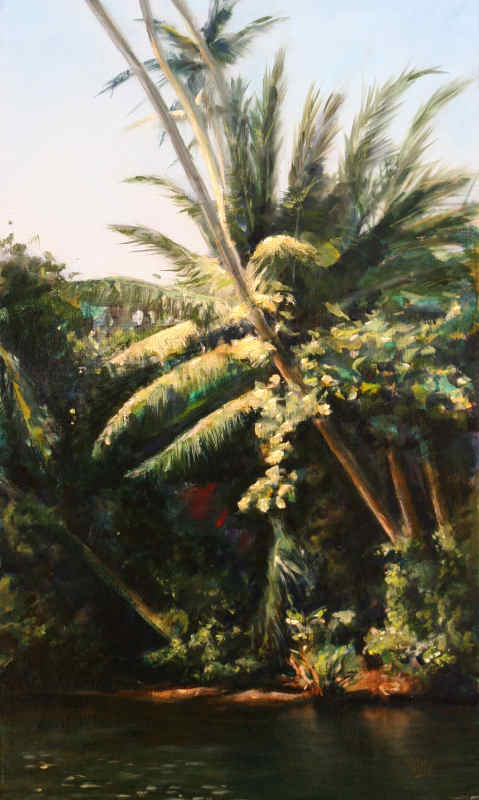 Sri Lanka (Bentota Ganga) - Philip Dorant