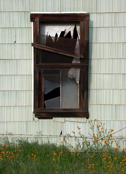 AbandonedSpring - Raggio Robyn