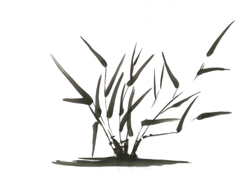 Japanese gardens no. 6 - Edita Elert - Cliquer pour afficher en grand