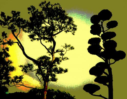 Japanese reflection posterisation 9 - Edita Elert