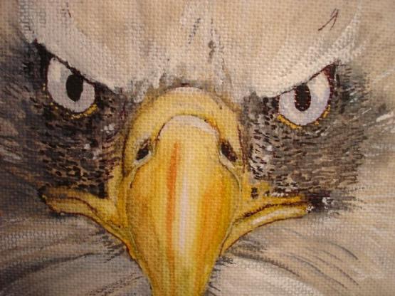 America Is Watching - Kerra Lindsey