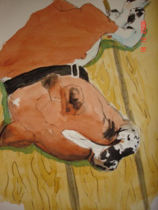 Boxer Dreaming - Kerra Lindsey