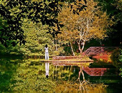 Réflexion - Bernard Staelen
