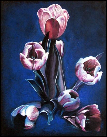 TULIPES - H-Y