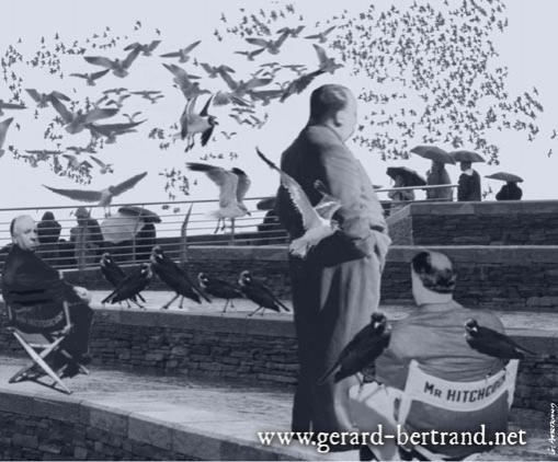 Birds - Gérard Bertrand