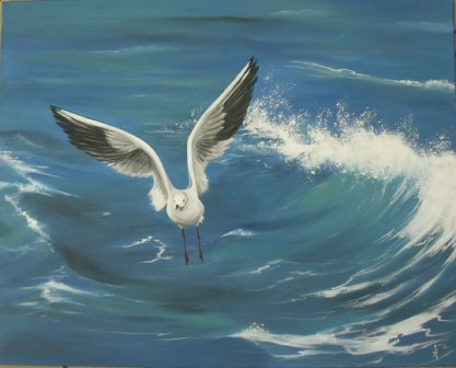 Vol au dessus des vagues - Anne-Sophie Schreck