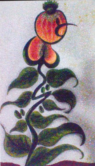 plante - Khadija Morchid