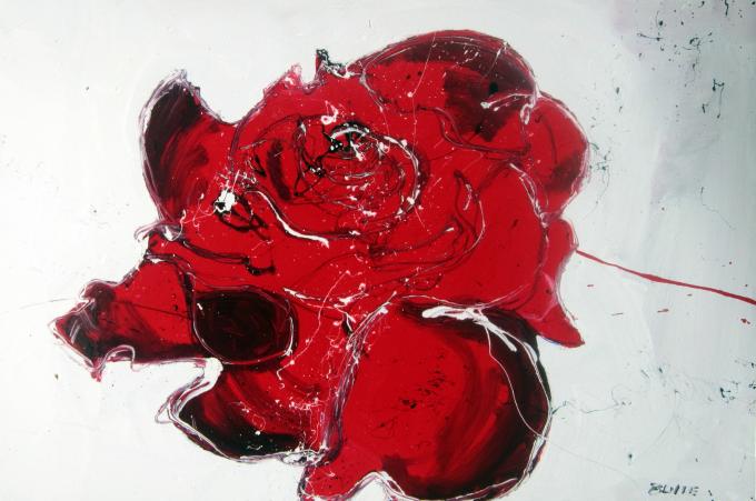 rose 3 - Alain Bulle - Click to enlarge