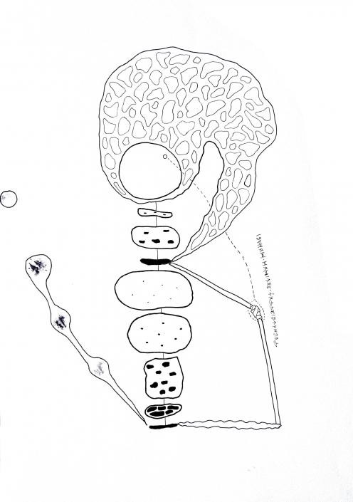 Endormir 8 - Pascale Debelloir--Forgerit