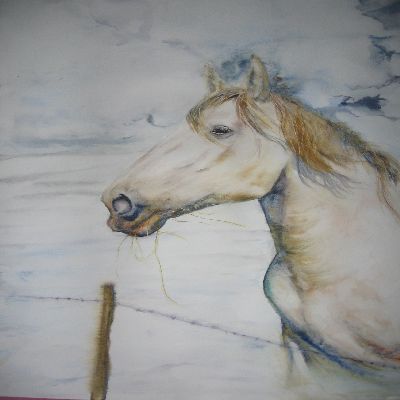 Cheval dans la neige - Patrice Raimbault