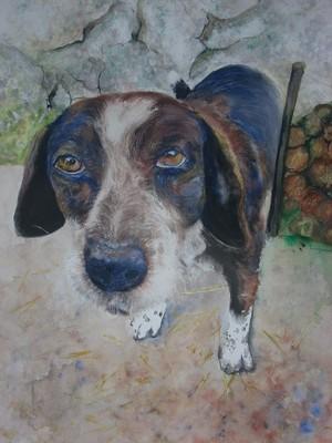 Hello Dollie - Patrice Raimbault