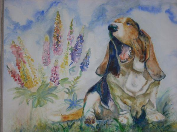 Chien qui baille - Patrice Raimbault - Click to enlarge