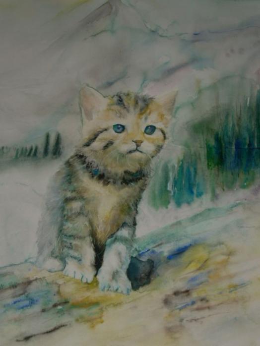 Chat - Patrice Raimbault