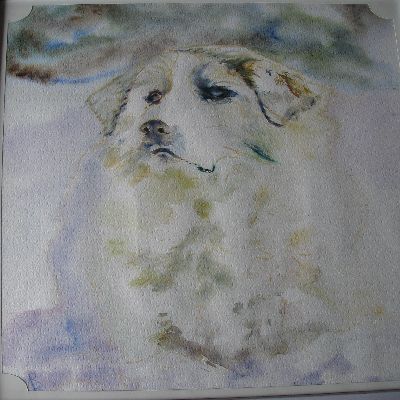 Saint Bernard - Patrice Raimbault