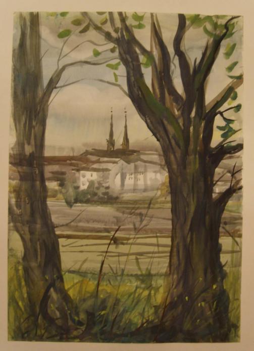 Bonn from the bank - Yuri Osipov ( Beaver )