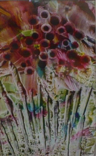 Floraison - Gadeb