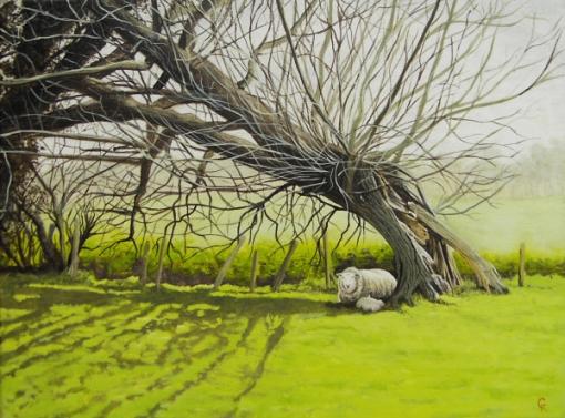 Old willow and sheep - George Robertson