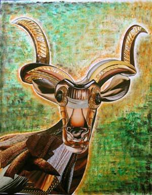 Kudu - Helene Donadieu