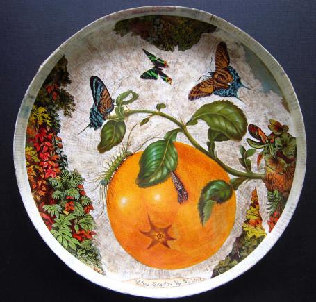 Citrus Paradisi - Intérieur - Helene Donadieu
