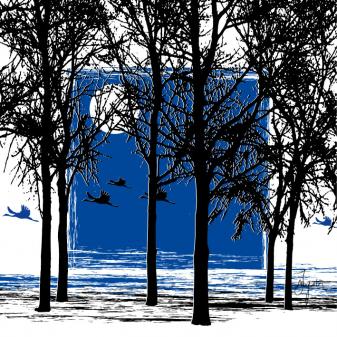 migrations nocturnes - James Augustin