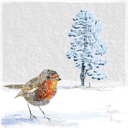 Le rouge-gorge. First snow and robin. - James Augustin