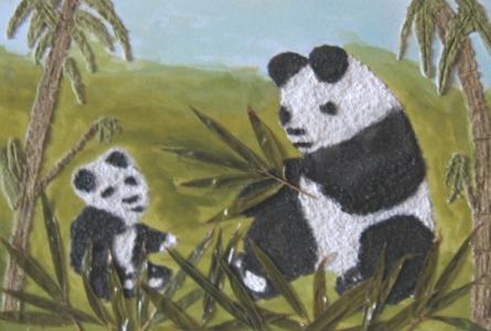 panda - Katee