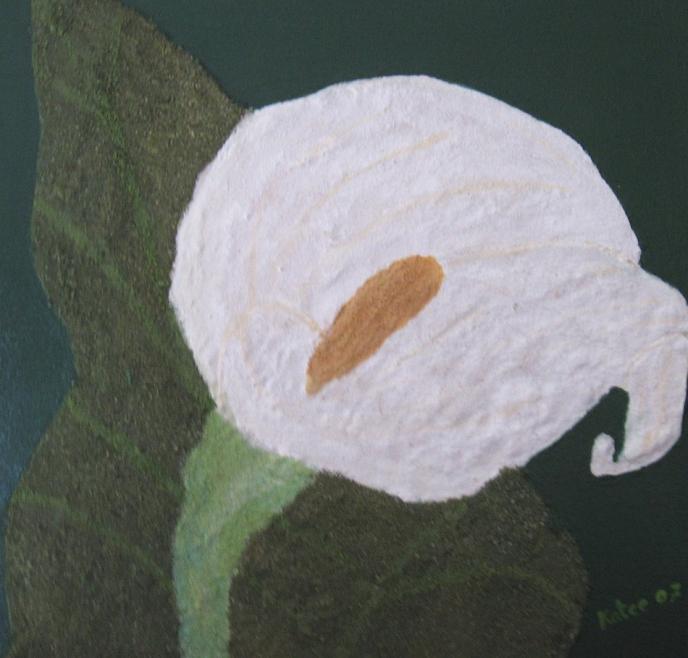 arum - Katee - Cliquer pour afficher en grand