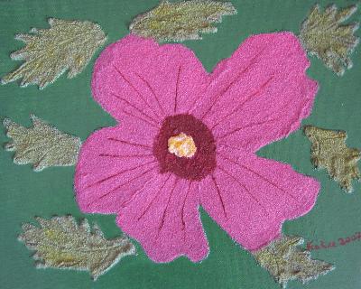 hibiscus - Katee