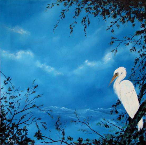 Aigrette2 - Bruno Feitussi