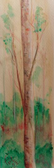 Arbre - Bruno Feitussi