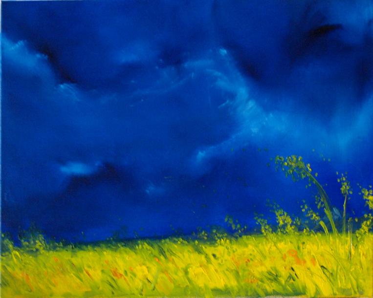 Colza - Bruno Feitussi - Click to enlarge