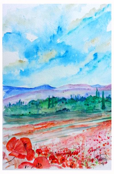 Coquelicots du Lubéron - Bruno Feitussi