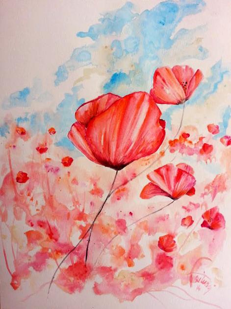 Coquelicots A - Bruno Feitussi