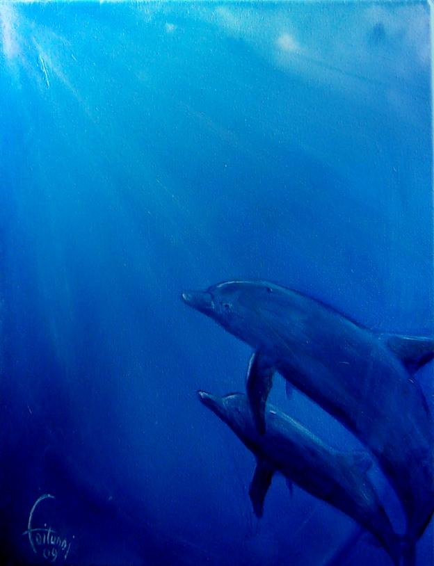Dauphins - Bruno Feitussi - Click to enlarge