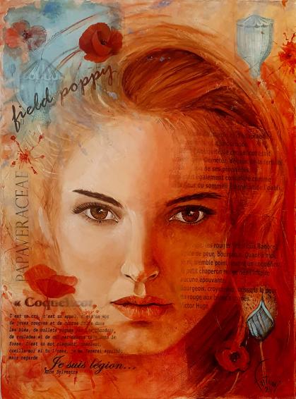 Field poppy - Bruno Feitussi