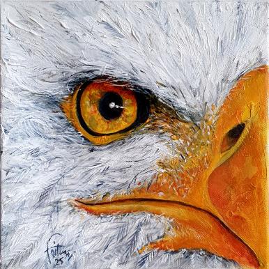 Le clin d'oeil d'Horus - Bruno Feitussi