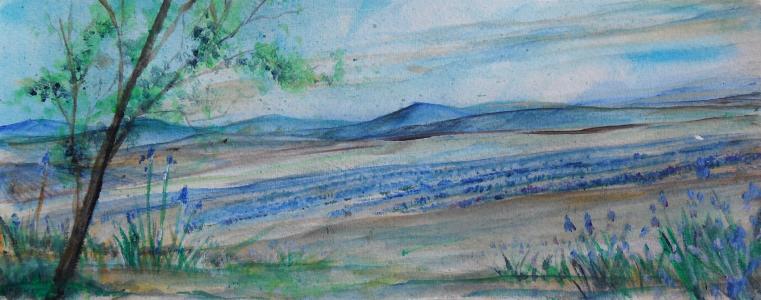 Luberon - Bruno Feitussi - Click to enlarge