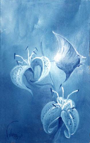 Manta - Bruno Feitussi
