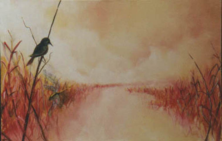 Marecage - Bruno Feitussi - Click to enlarge