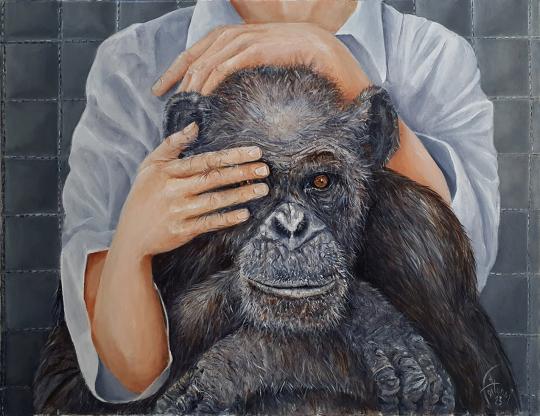 Ne regarde pas - Bruno Feitussi