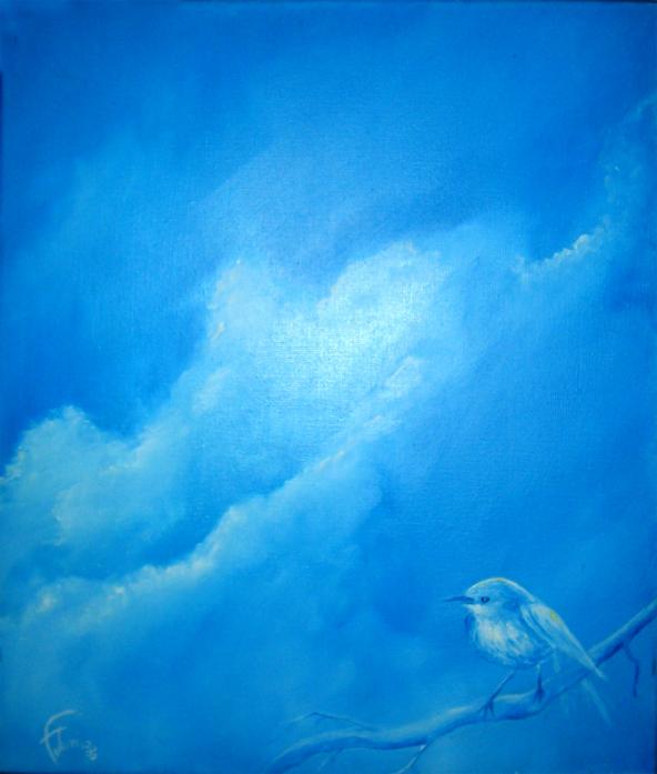 l'oiseau de Sally - Bruno Feitussi - Click to enlarge