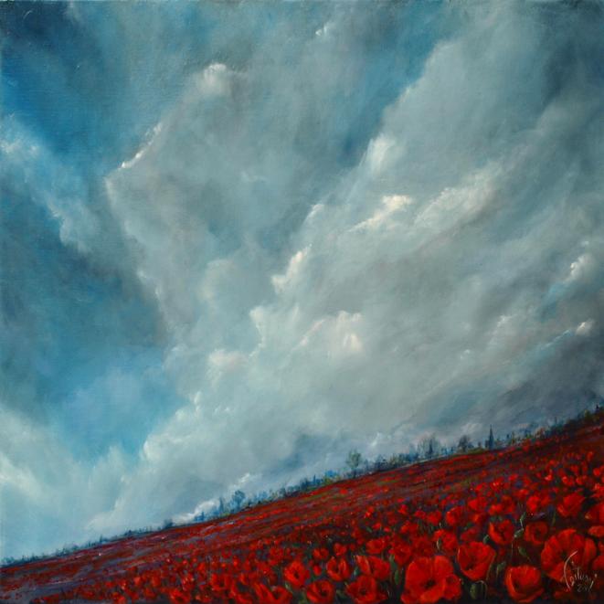Poppies - Bruno Feitussi - Click to enlarge
