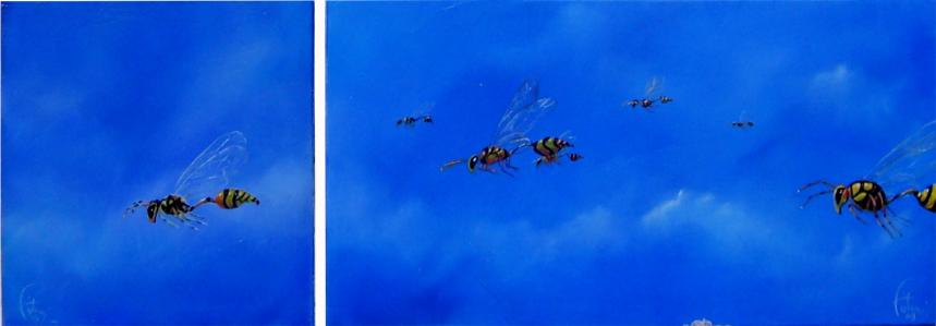 Wasp's family - Bruno Feitussi - Click to enlarge