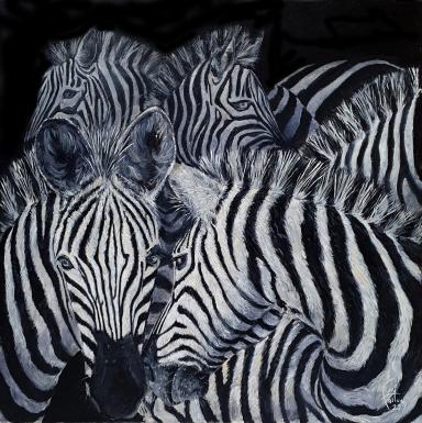 Zebra Boléro - Bruno Feitussi