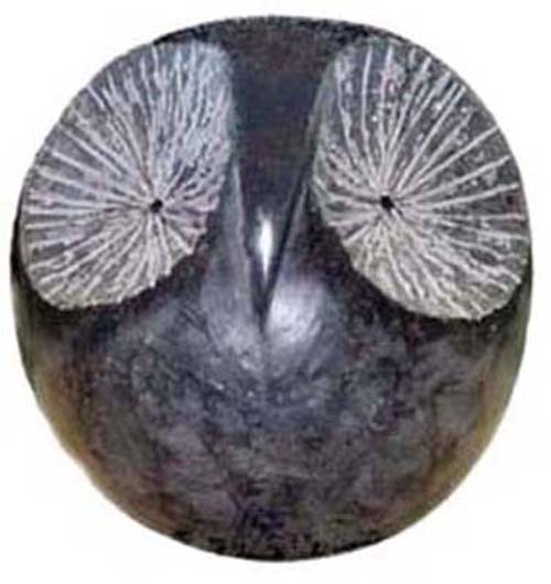 HIBOU - Marian Sava