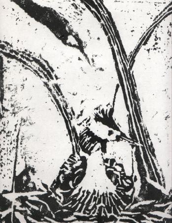 Oiseau - Virginie Duval
