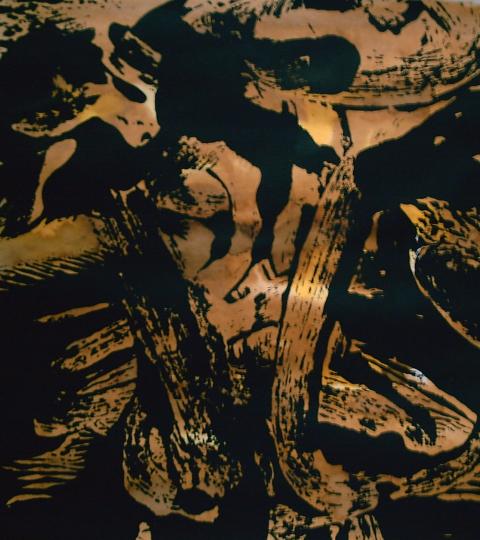 Tribal 6 - Virginie Duval